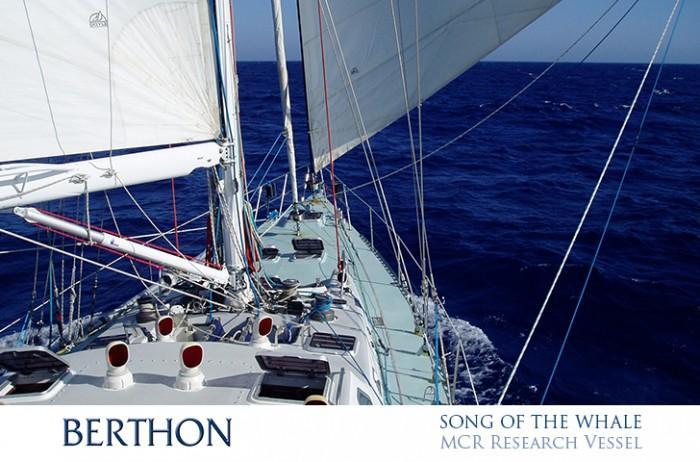 SONG OF THE WHALE sailing