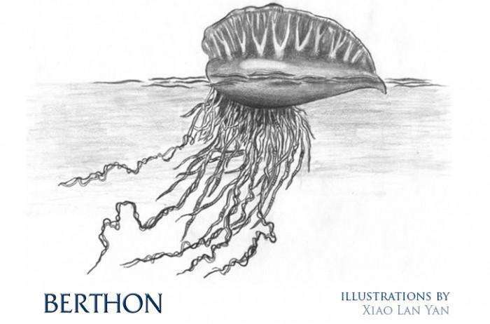 Xiao Lan Yan Illustration - Jellyfish