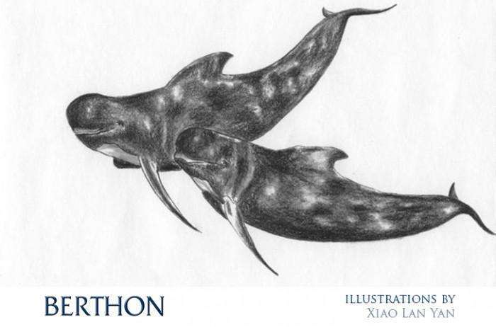 Xiao Lan Yan Illustration - Whales