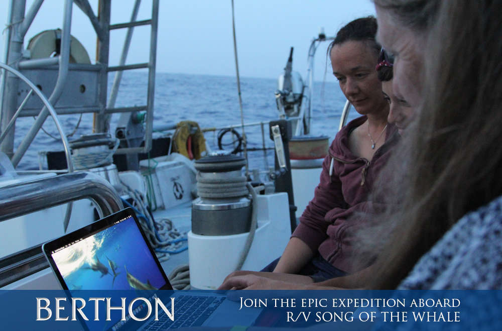 join-the-epic-expedition-aboard-rv-song-of-the-whale-2
