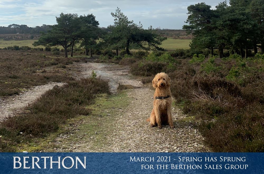 march-2021-spring-has-sprung-for-the-berthon-sales-group-1