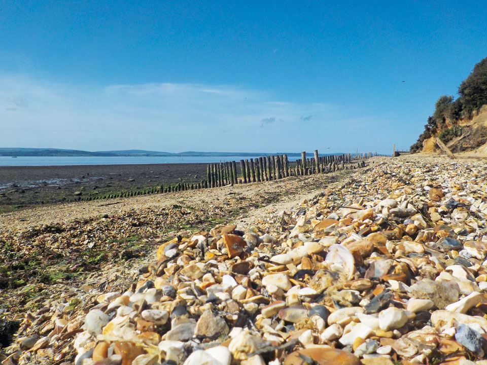 lepe-country-park-1