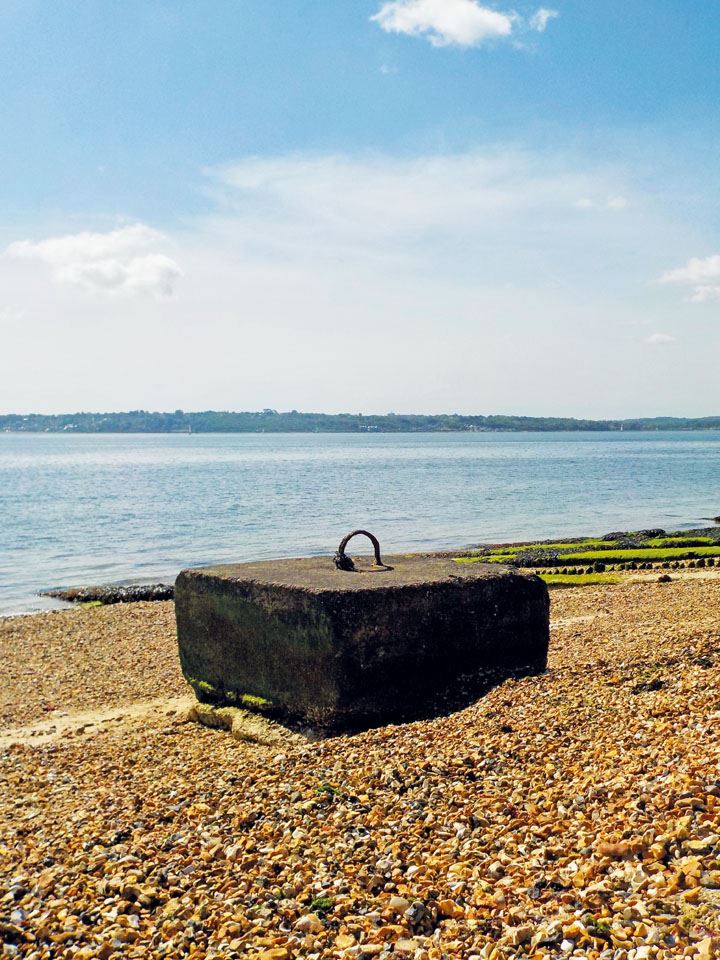 lepe-country-park-10