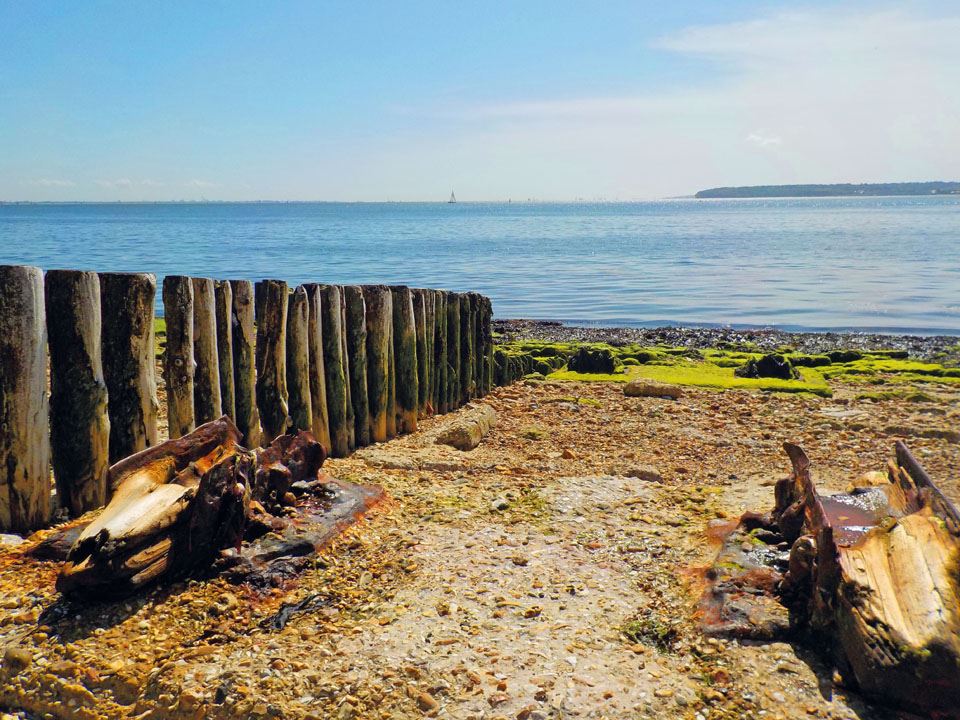 lepe-country-park-3