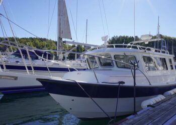 Sea Sport Explorer 2400, DELFINA 2