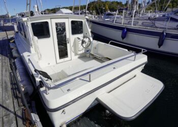 Sea Sport Explorer 2400, DELFINA 8