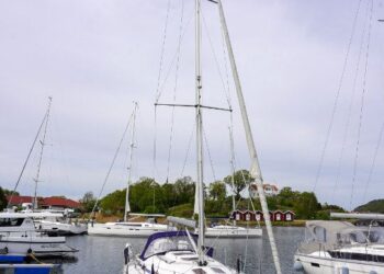 Bavaria 36, VIRUS X 2