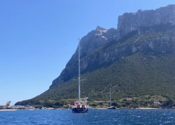 Discovery 55, KNOTTY GIRL 19