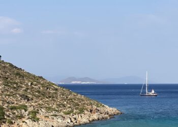 Discovery 55, KNOTTY GIRL 24