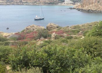 Discovery 55, KNOTTY GIRL 27