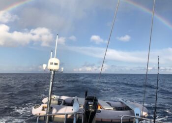 Discovery 55, KNOTTY GIRL 35