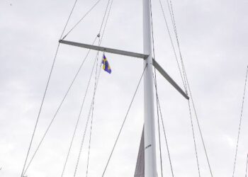 Moody DS41, PARASOL 8