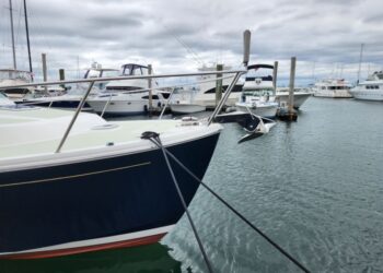 Back Cove 37, GOOSE 3