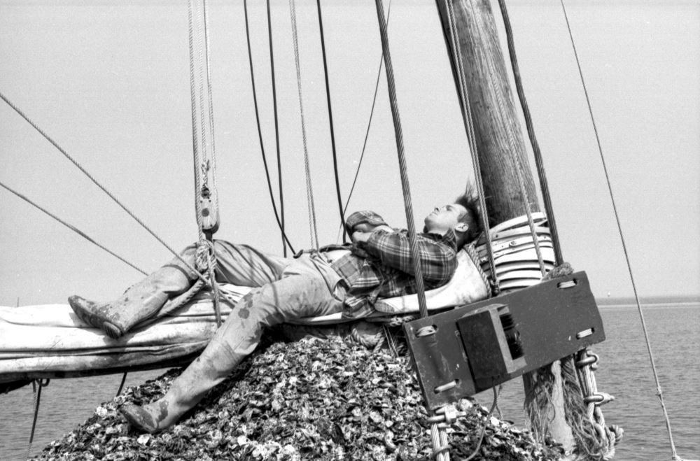 skipjacks-of-chesapeake-bay-4