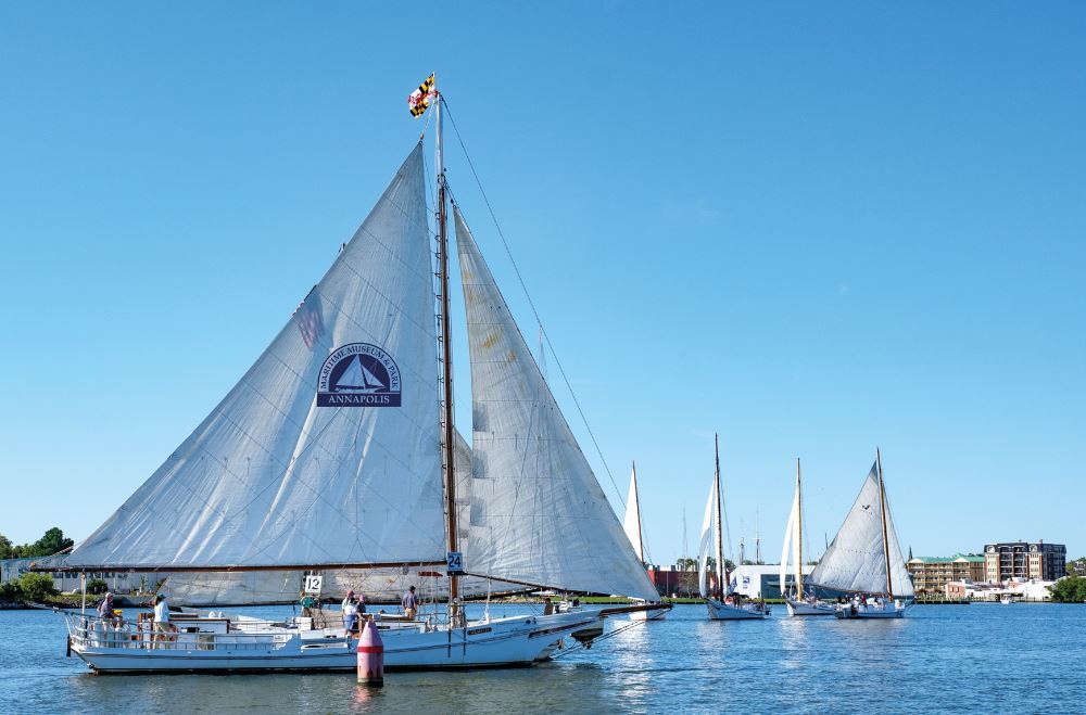 skipjacks-of-chesapeake-bay-8