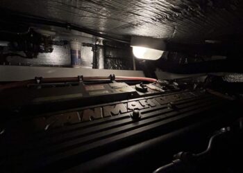 Nelson 38, ANDROMEDA 74