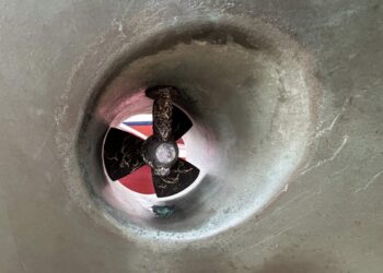 Nelson 38, ANDROMEDA 82