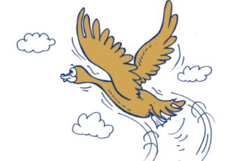 news&insights-for-38