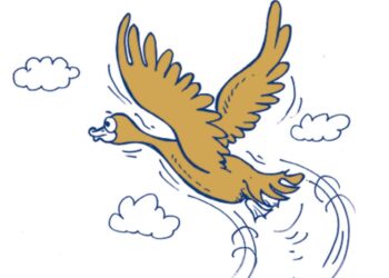 Top 7 Yacht Sales Insights for November 2025