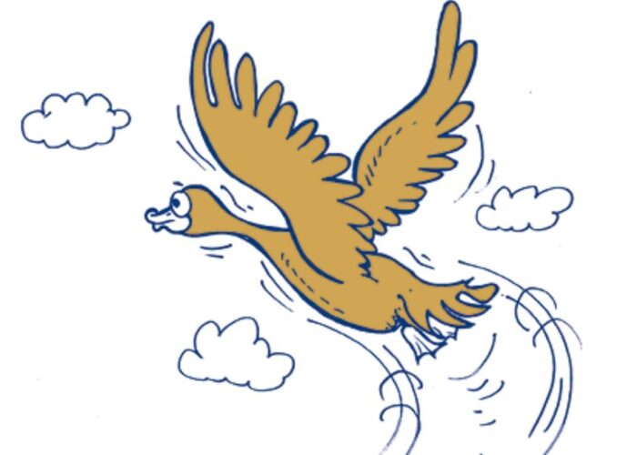 news&insights-for-38