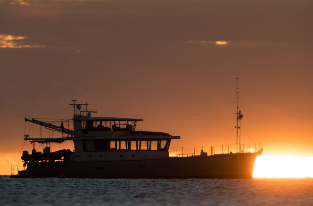 GREY WOLF II, FPB 78-2 - from the Pacific to Antarctica, building and testing a true expedition yacht grey-wolf-ii-fpb78-2-from-the-pacific-to-antarctica-2