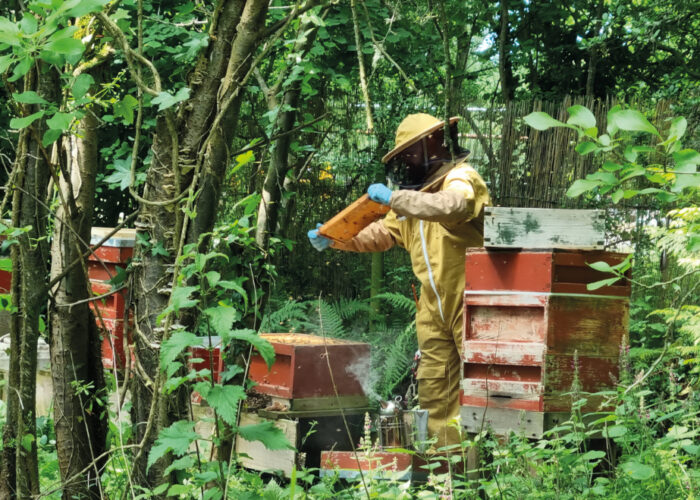 beekeeping-1
