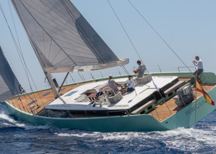 y8-peregrin-high-performance-sailing-in-style-1-main